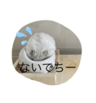 ふくみスタンプ☆☆（個別スタンプ：5）