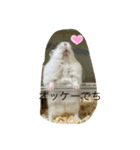 ふくみスタンプ☆☆（個別スタンプ：7）