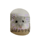 ふくみスタンプ☆☆（個別スタンプ：10）