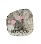ふくみスタンプ☆☆（個別スタンプ：11）