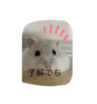 ふくみスタンプ☆☆（個別スタンプ：12）