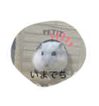 ふくみスタンプ☆☆（個別スタンプ：15）