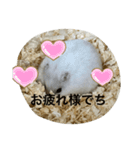 ふくみスタンプ☆☆（個別スタンプ：16）