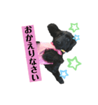 ダップー犬、ララァ②（個別スタンプ：2）