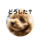 たいの呟き（個別スタンプ：2）