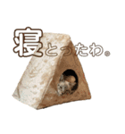 SUGAですけどなにか？（個別スタンプ：4）