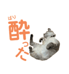 SUGAですけどなにか？（個別スタンプ：7）