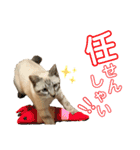 SUGAですけどなにか？（個別スタンプ：9）