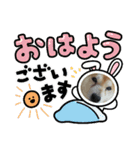 なかこよフレンズ①（個別スタンプ：1）