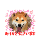 なかこよフレンズ①（個別スタンプ：5）