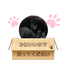 なかこよフレンズ①（個別スタンプ：13）