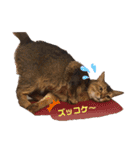 チョコちゃんとミントちゃん（個別スタンプ：3）