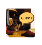 チョコちゃんとミントちゃん（個別スタンプ：4）