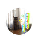 チョコちゃんとミントちゃん（個別スタンプ：8）