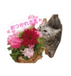 チョコちゃんとミントちゃん（個別スタンプ：22）