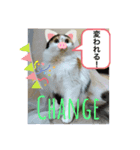 best にゃんneko（個別スタンプ：3）