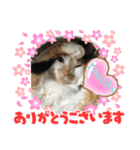 best にゃんneko（個別スタンプ：4）