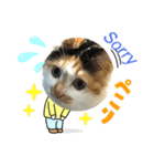 best にゃんneko（個別スタンプ：6）