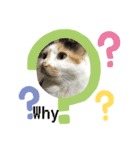 best にゃんneko（個別スタンプ：7）