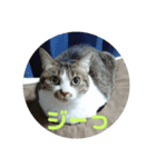 ナナエモン①（個別スタンプ：1）