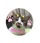 ナナエモン①（個別スタンプ：2）