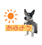 LARUのほのぼのスタンプ2（個別スタンプ：4）