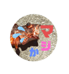 ぬーま、海を愛して…1（個別スタンプ：12）