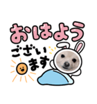 ちゃみちゃんとみかんちゃんスタンプ（個別スタンプ：4）