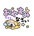 ちゃみちゃんとみかんちゃんスタンプ（個別スタンプ：5）