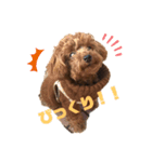 とらくんスタンプ！！1（個別スタンプ：4）