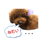 とらくんスタンプ！！1（個別スタンプ：7）