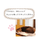 たくろースタンプ「完」（個別スタンプ：31）