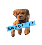 さらちゃんとごすけくん（個別スタンプ：8）