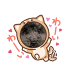 トイプードルのあもんちゃん（個別スタンプ：11）