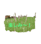 Kinko_写真3（個別スタンプ：5）