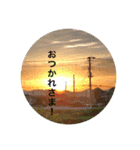 Kinko_写真3（個別スタンプ：7）