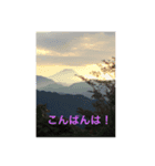 Kinko_写真2（個別スタンプ：4）