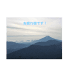 Kinko_写真2（個別スタンプ：5）