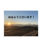 Kinko_写真2（個別スタンプ：6）