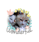 笑える猫たち（個別スタンプ：4）
