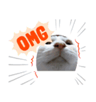 笑える猫たち（個別スタンプ：8）