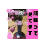 笑える猫たち（個別スタンプ：13）