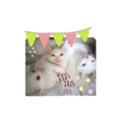 笑える猫たち（個別スタンプ：16）