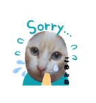笑える猫たち（個別スタンプ：21）