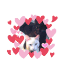 笑える猫たち（個別スタンプ：22）
