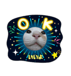 笑える猫たち（個別スタンプ：24）