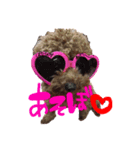 ぴぴちゃんすたんぷwithもんちゃん（個別スタンプ：3）