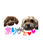 ぴぴちゃんすたんぷwithもんちゃん（個別スタンプ：5）