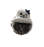 イヤイヤかぶる猫（個別スタンプ：5）