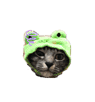 イヤイヤかぶる猫（個別スタンプ：6）